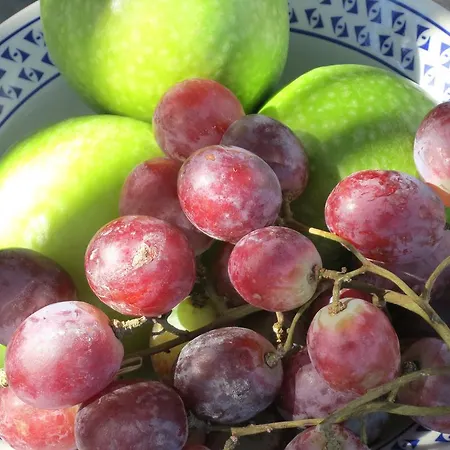 Kallichoron Art Boutique Lejlighedshotel Astypálaia