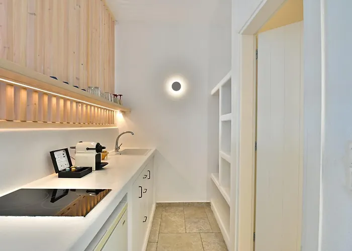 公寓式酒店 Kallichoron Art Boutique Astypálaia